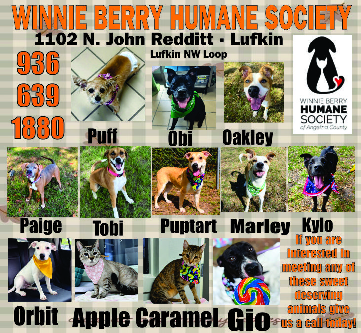 Pet of The Week Ad